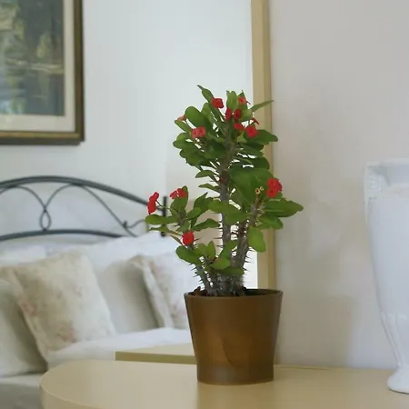 Cà Fernanda Apartamento Fiesso Umbertiano